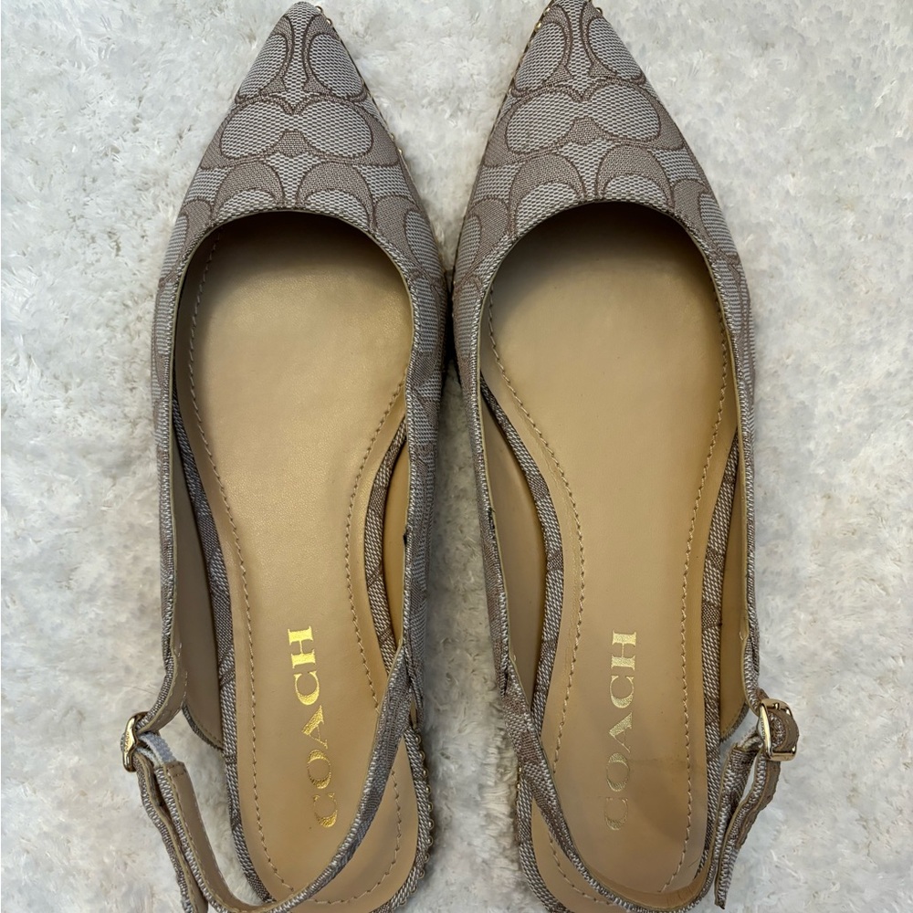 Coach Vae Studded Slingback Women's Shoes